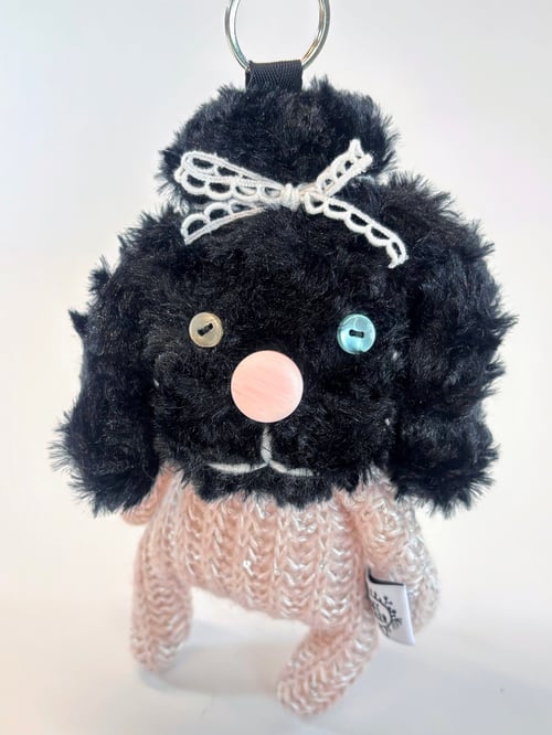 Image of Pam the poodle