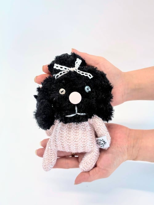 Image of Pam the poodle