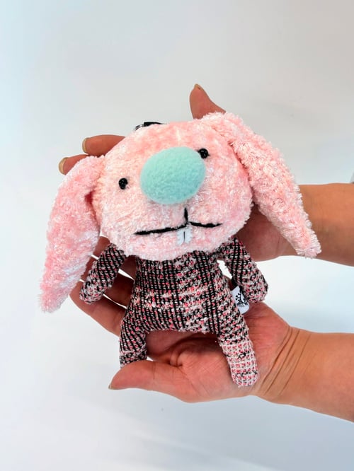 Image of Candy the bunny 