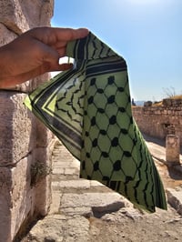 Image 5 of Green Bandana - Printed