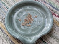 Image 6 of Oceanspray  (Holodiscus discolor)