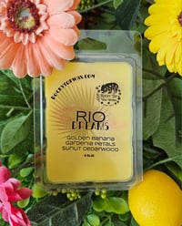 Image 1 of RIO Dreams 