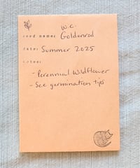 Image 8 of West Coast Goldenrod  (Solidago canadensis var. elongata)