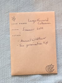 Image 6 of Large-Flowered Collomia  (Collomia grandiflora)