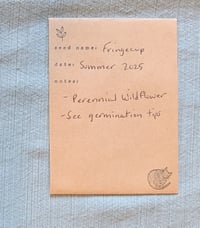 Image 7 of Fringecup  (Tellima grandiflora)