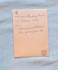 Image 8 of Western Bleeding Heart  (Dicentra formosa)