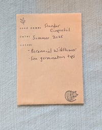 Image 6 of Slender Cinquefoil  (Potentilla gracilis)