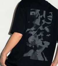 Image 3 of Chaos in balance