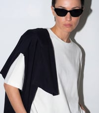 Image 5 of Chaos in balance