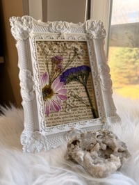 Image 3 of Pressed Relics No. III