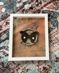 Image 1 of Common Mormon No. II