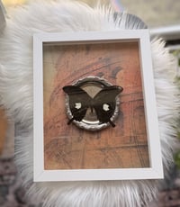 Image 2 of Common Mormon No. II