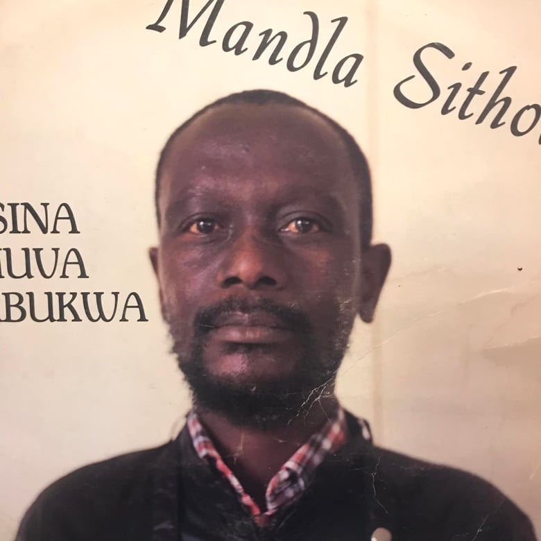 Image of Mandla Sithole - Isina Muva