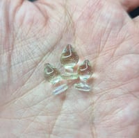 Image 1 of HUMPDAY DROP MINI PLUGS CLEAR GREEN HUE