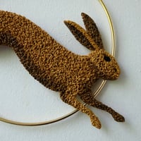 Image 2 of Hare on a Hoop