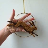 Image 3 of Hare on a Hoop