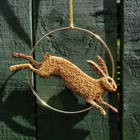 Image 5 of Hare on a Hoop