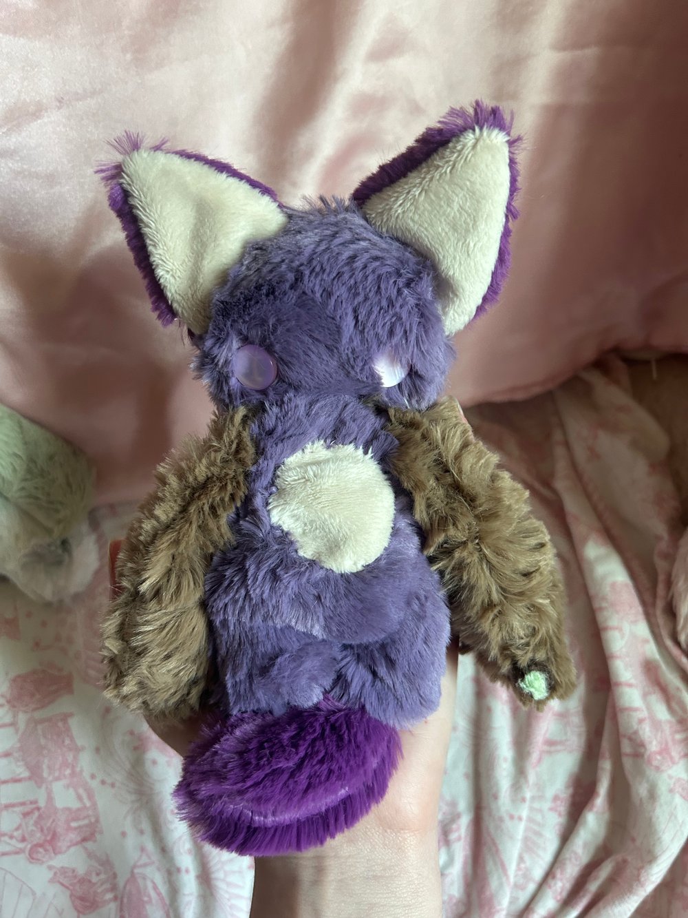 Image of iris the indica kitty