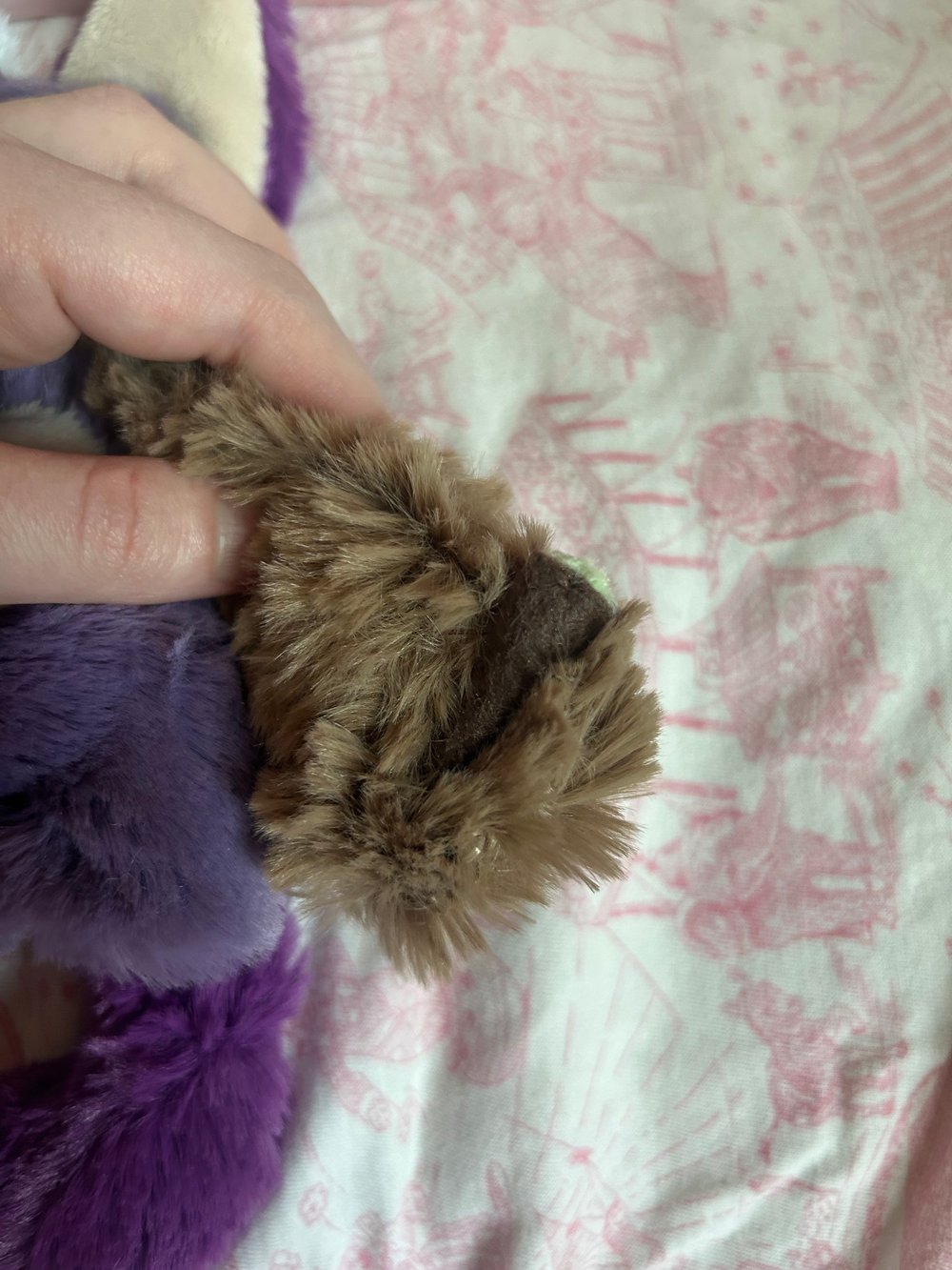 Image of iris the indica kitty