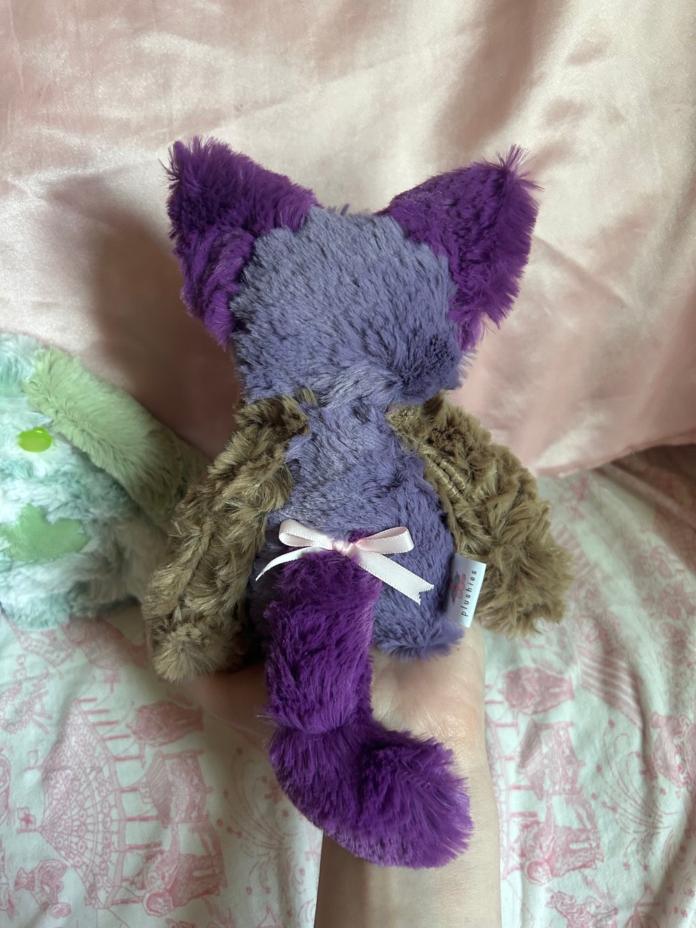 Image of iris the indica kitty