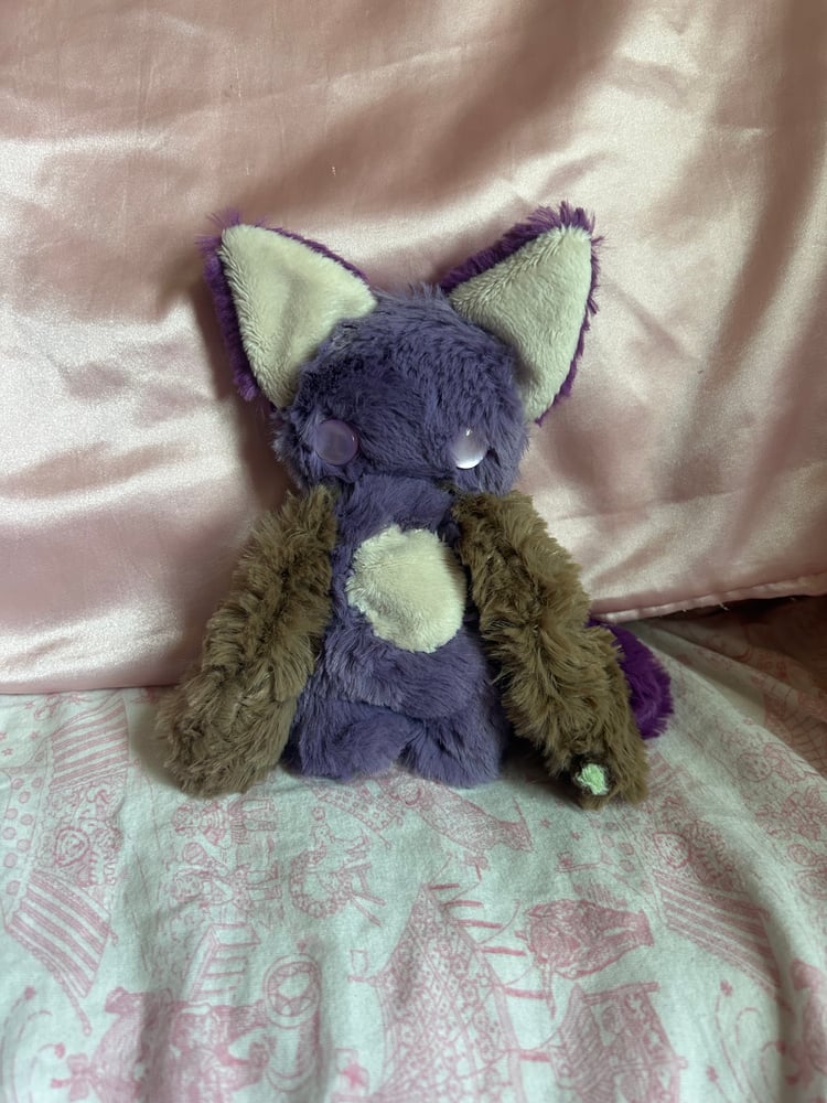 Image of iris the indica kitty