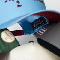 Image 6 of "La Comitiva" 5 Panel