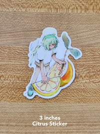 Image 4 of Vinyl Stickers