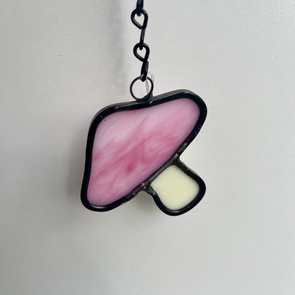 Image of Pink Mushroom