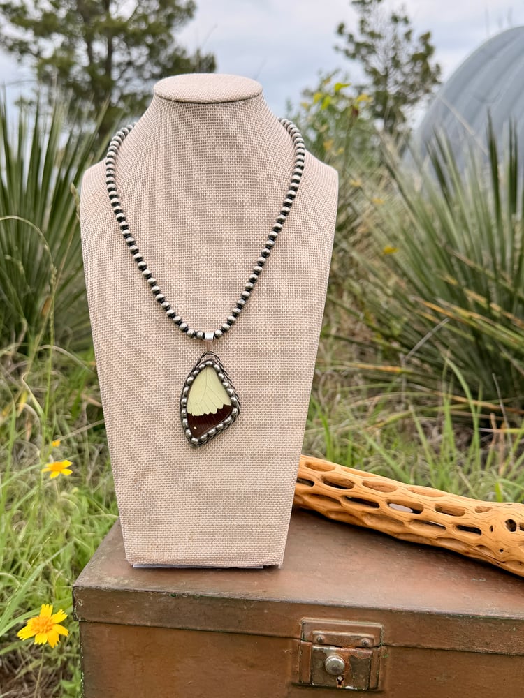 Image of Butterfly Wing Stained Glass Pendant 3/6