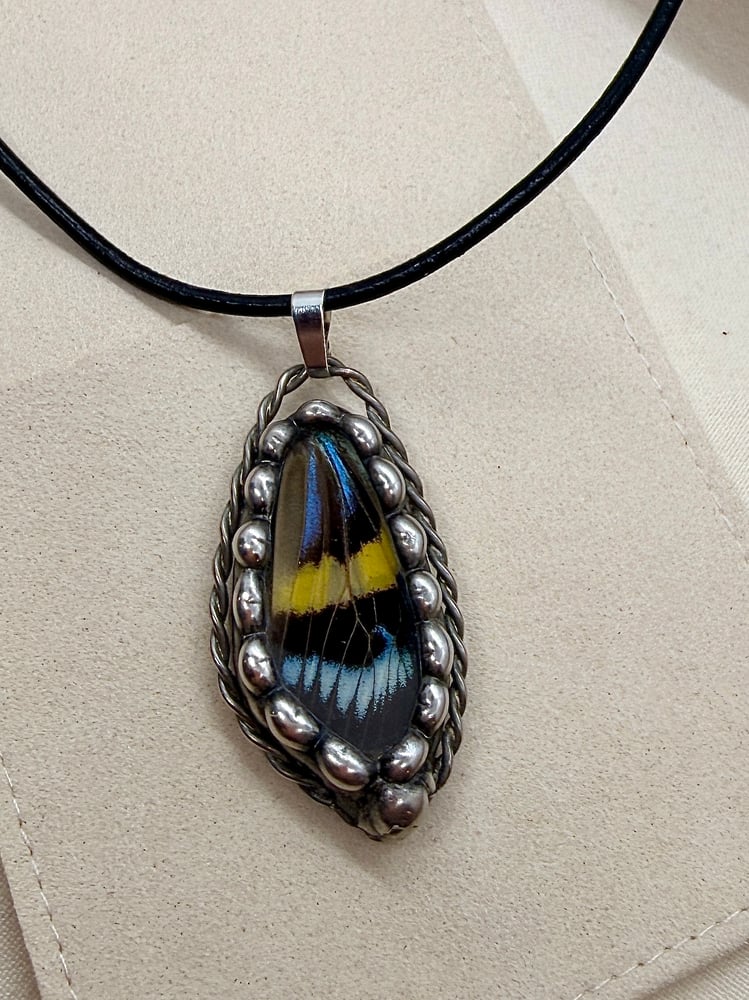 Image of Butterfly Wing Stained Glass Pendant 5/6