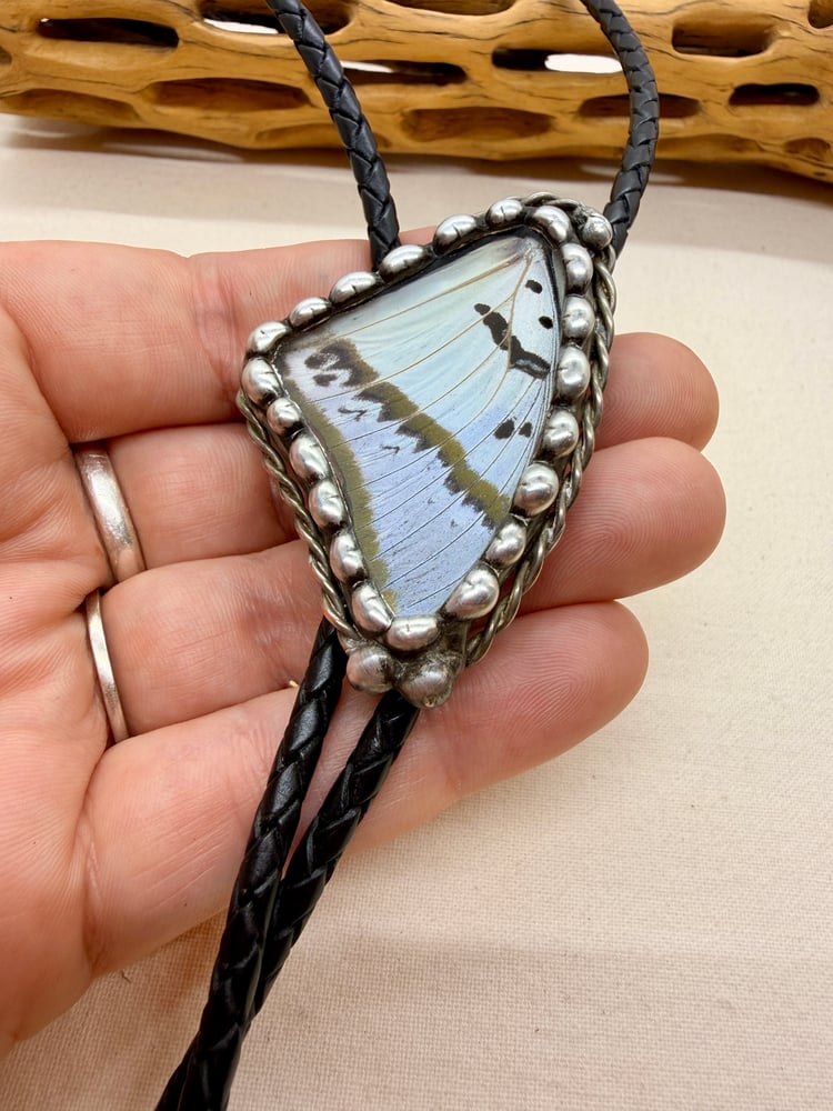 Image of Butterfly Wing Stained Glass Bolo Tie