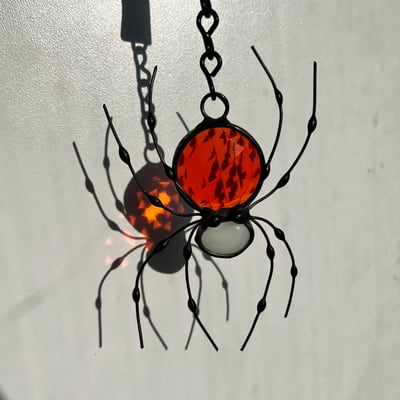 Image of Spider