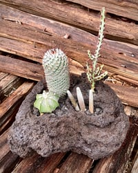 Image 13 of Hand Carved Volcanic Plant Vessels 