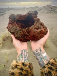 Image 3 of Hand Carved Volcanic Plant Vessels 