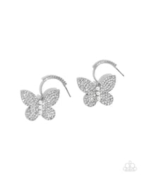 Butterfly Boundary