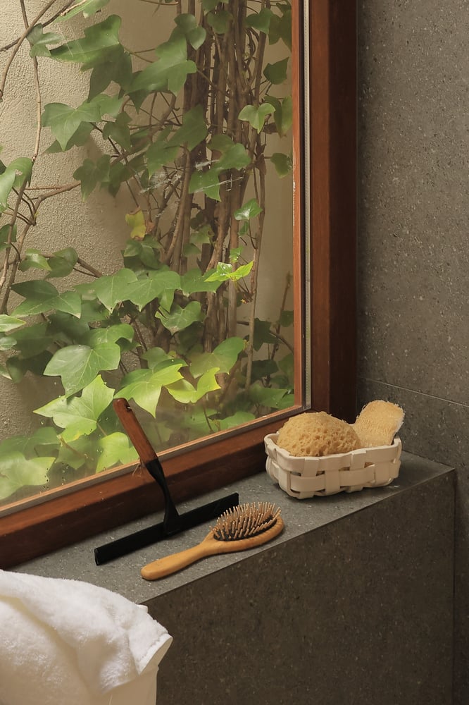 Image of Petitte  nest