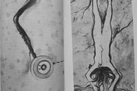 Image 3 of Diabética indomable