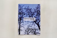 Image 1 of Diabética indomable