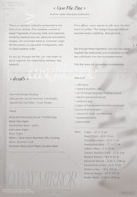 Image 3 of [Pre-Order] Case File Zine / archive-style narrative collection / persona5 