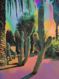 'Rainbow Daze' Print