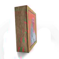 Image 2 of City Bird