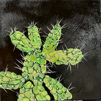 Cactus 