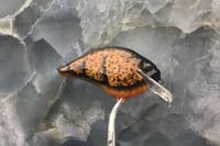 Image 2 of Custom Airbrushed S-CRANK 1.5 Squarebill Crankbait El Hammer