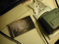 Image 4 of Possessed Cassette