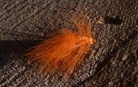 Image 1 of 6 pack Woolly Bugger 