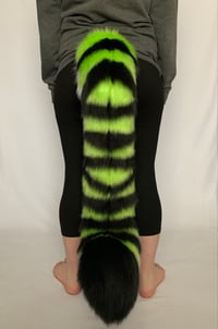 Image 4 of Custom Color Giant Tiger Tail