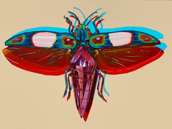 Image of Flying Fragment (Pink)