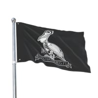 Image 4 of St.Pete Skelly Pelly Sided Flag