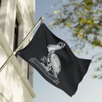 Image 2 of St.Pete Skelly Pelly Sided Flag