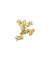 'Tree Frog' by Anatometal 